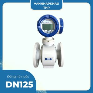 Đồng hồ nước DN125 Hansung