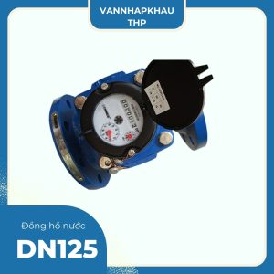 Đồng hồ nước DN125 Zenner