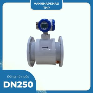 Đồng hồ nước DN250 Hansung