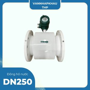 Đồng hồ nước DN250 Woteck