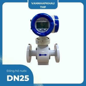 Đồng hồ nước DN25 Hansung