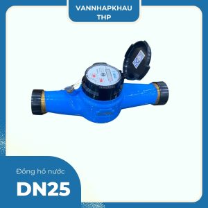 Đồng hồ nước DN25 Pmax