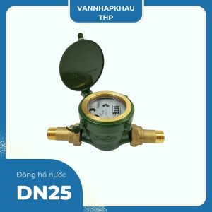 Đồng hồ nước DN25 Sanwa