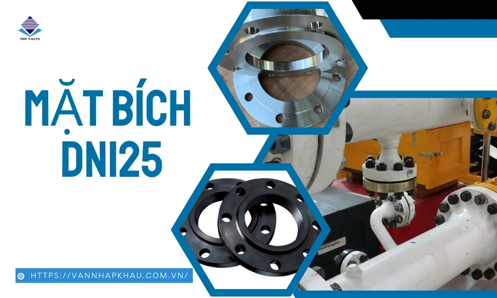 Mặt bích DN125