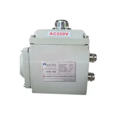 Động cơ điện HTE100