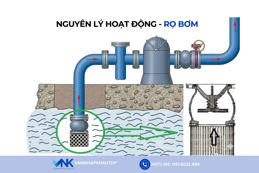 Mô phỏng nguyên lý hoạt động của rọ hút