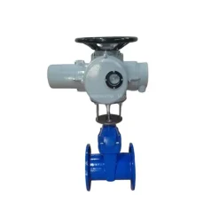 Van cổng mặt bích điều khiển điện