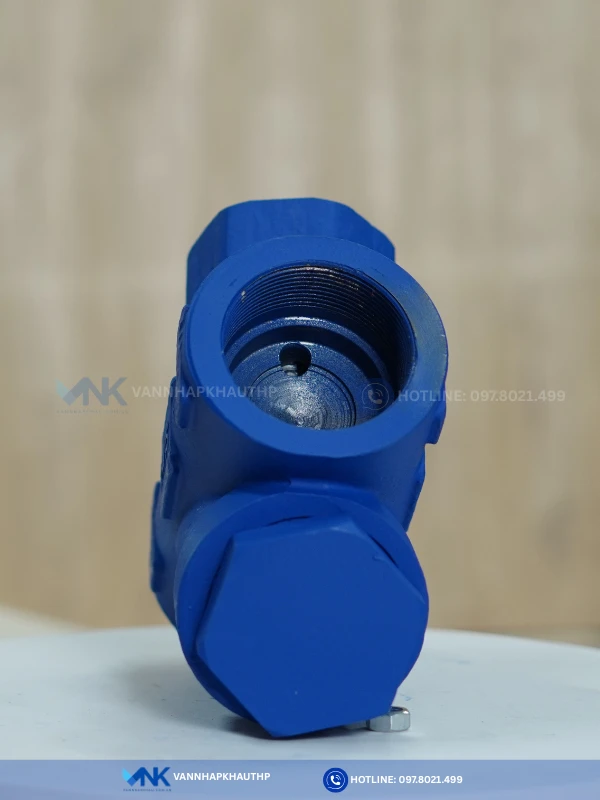Bẫy hơi gang đồng tiền