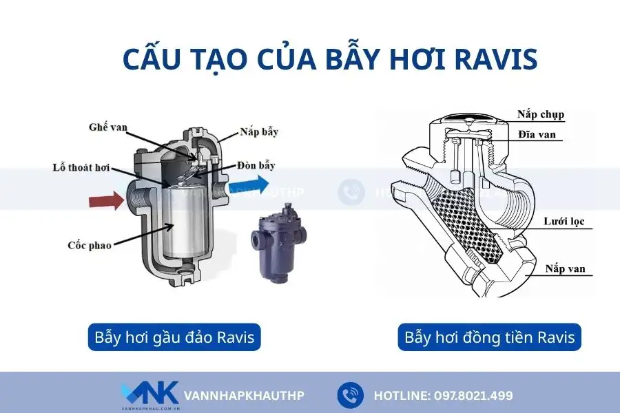 Cấu tạo chi tiết của bẫy hơi Ravis