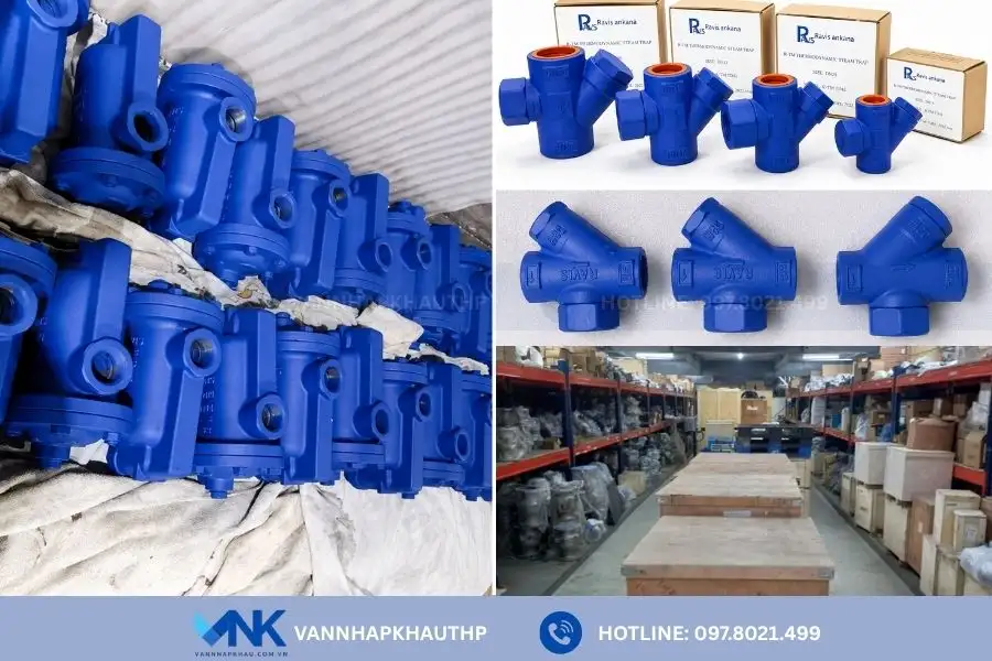 Van Nhập Khẩu nhà phân phối chính thức bẫy hơi Ravis tại Việt Nam